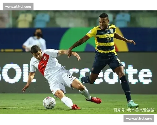 巴西对阵厄瓜多尔历史战绩解析与关键走势前瞻全面回顾与胜负规律洞察