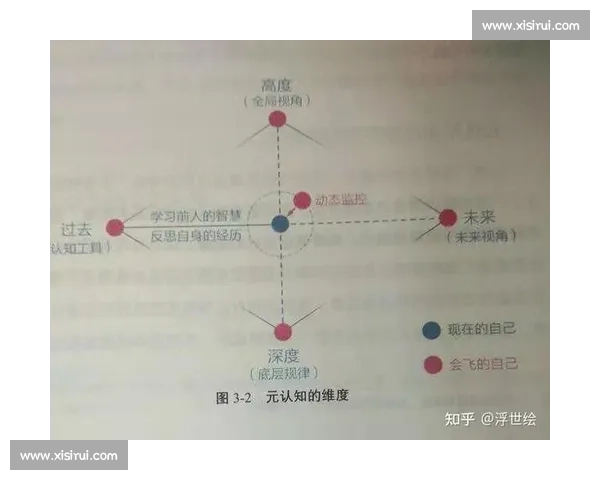 森林vs人类发展生态保护与未来生存之路的深度对话全球视角下的思考